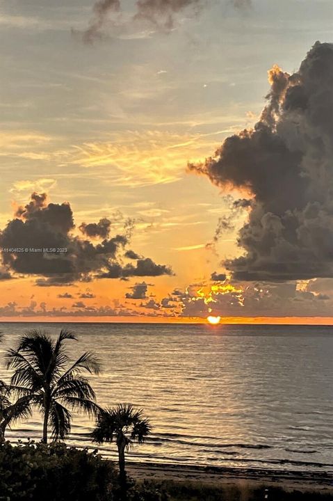 Living Room View