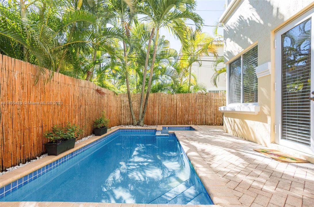 Pool & Spa, back yard