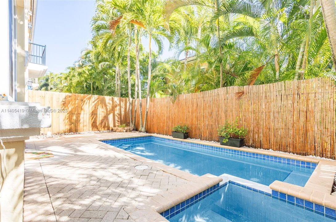 Pool & Spa, back yard