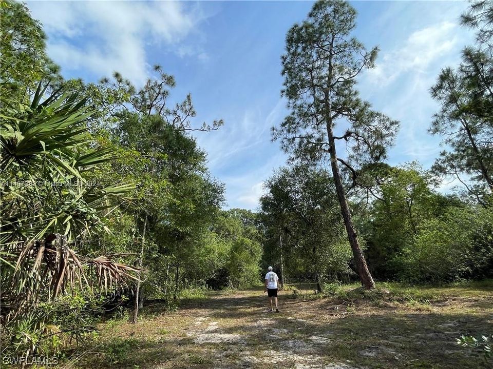 En Venta: $429,000 (10.46 acres)