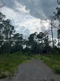 Recently Sold: $69,999 (1.25 acres)