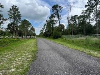 Recently Sold: $69,999 (1.25 acres)