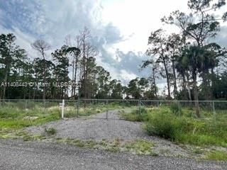 Recently Sold: $69,999 (1.25 acres)