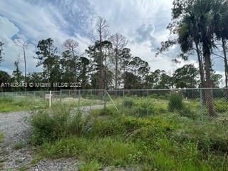 Recently Sold: $69,999 (1.25 acres)