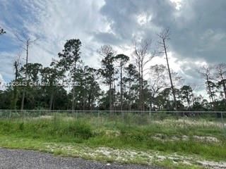 Recently Sold: $69,999 (1.25 acres)