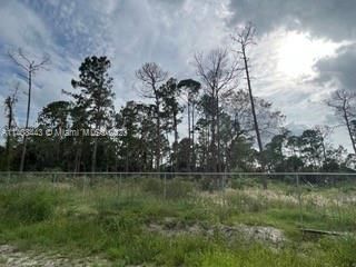 Recently Sold: $69,999 (1.25 acres)