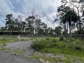 Recently Sold: $69,999 (1.25 acres)