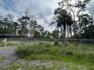 Recently Sold: $69,999 (1.25 acres)