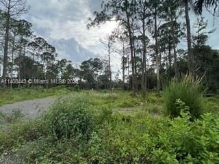 Recently Sold: $69,999 (1.25 acres)