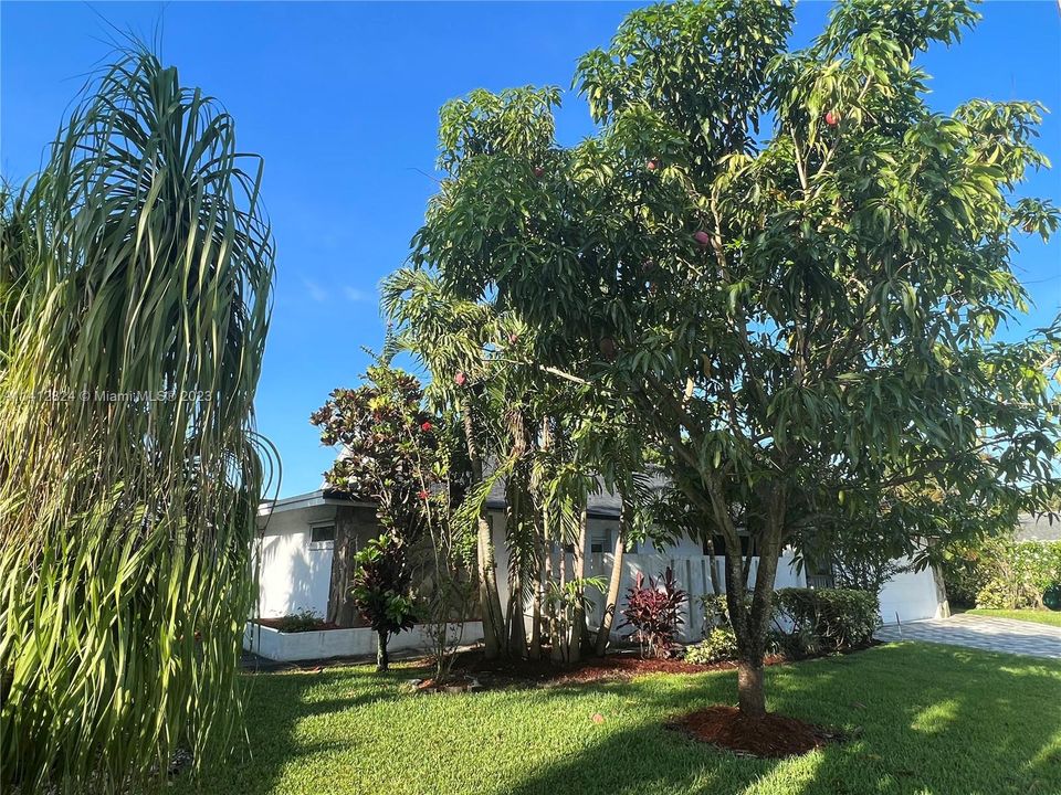Recently Sold: $680,000 (4 beds, 3 baths, 2392 Square Feet)