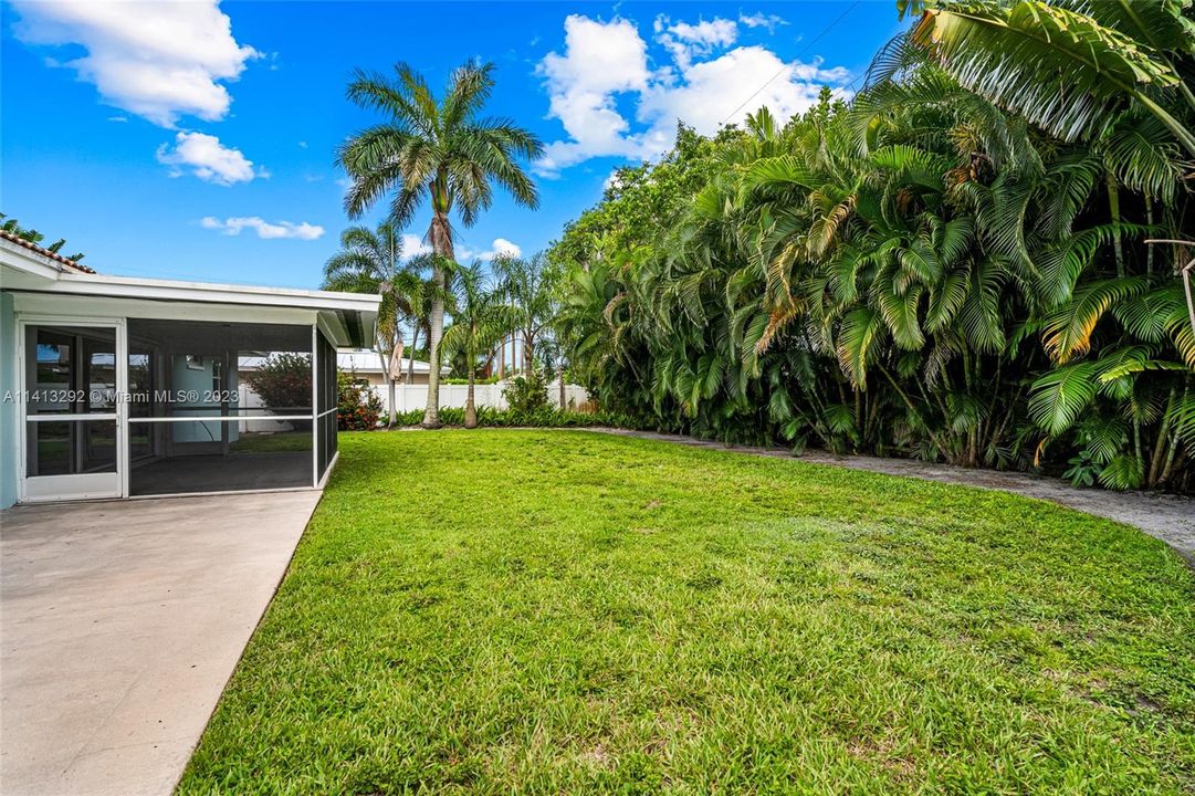 Fenced Backyard