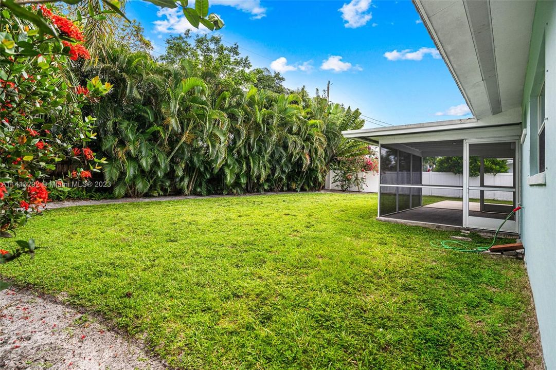 Fenced Backyard
