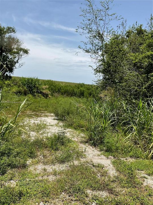 For Sale: $122,500 (2.00 acres)