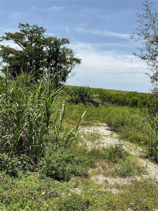 For Sale: $122,500 (2.00 acres)