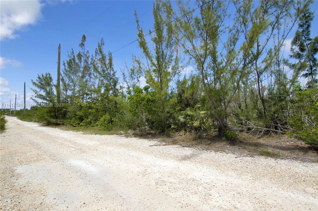 Vendido Recientemente: $99,000 (0.14 acres)