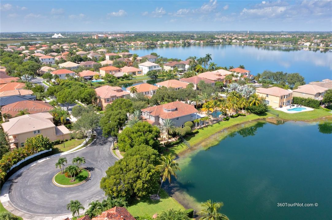 Oversized Double Lot!