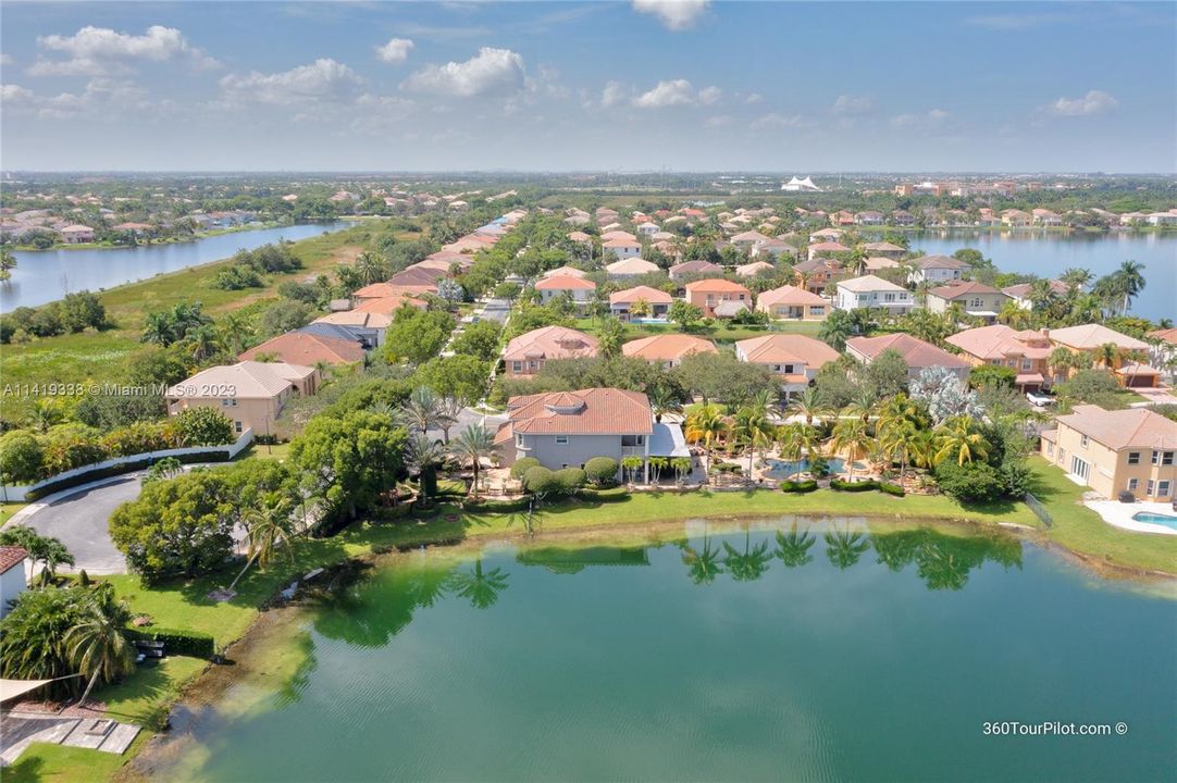 Oversized Double Lot!