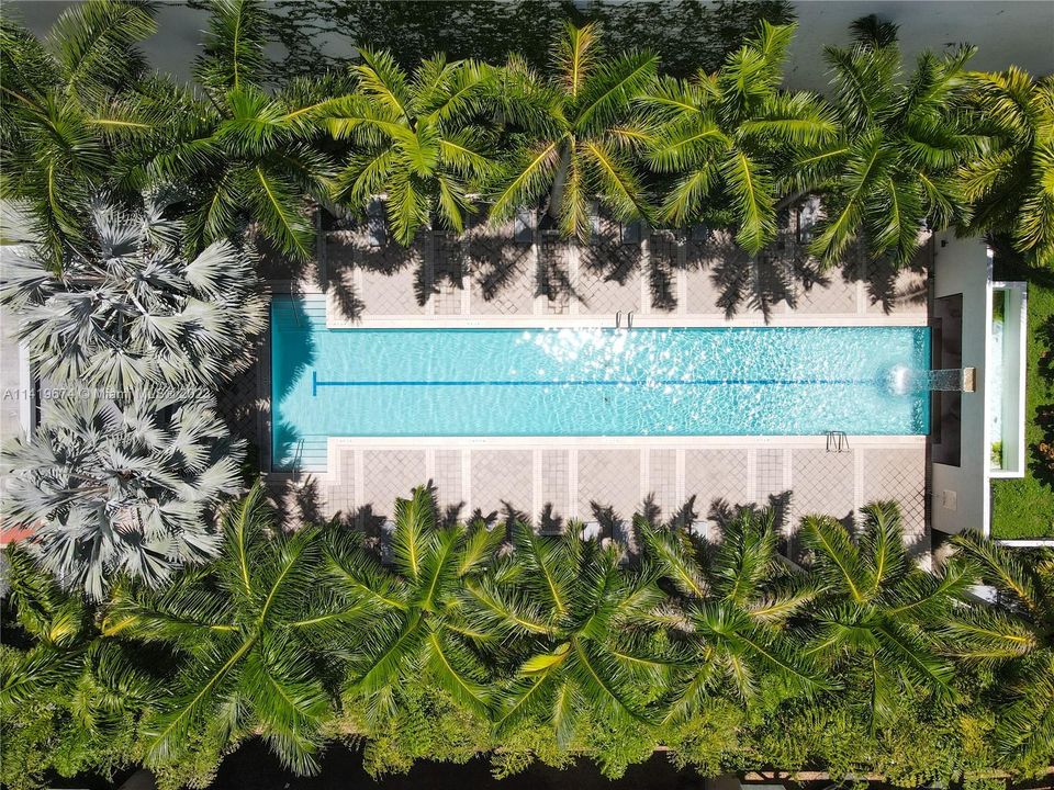 Ground level lap pool with waterfall, palm trees, lounge chairs, and covered bar area.