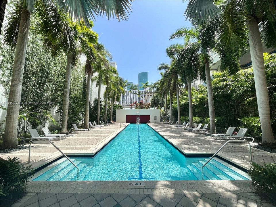 Ground level Palm Tree lined Lap Pool