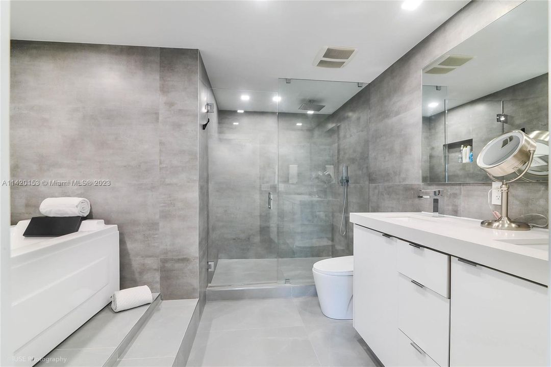 New Bathroom, double sink, shower and Jacuzzi