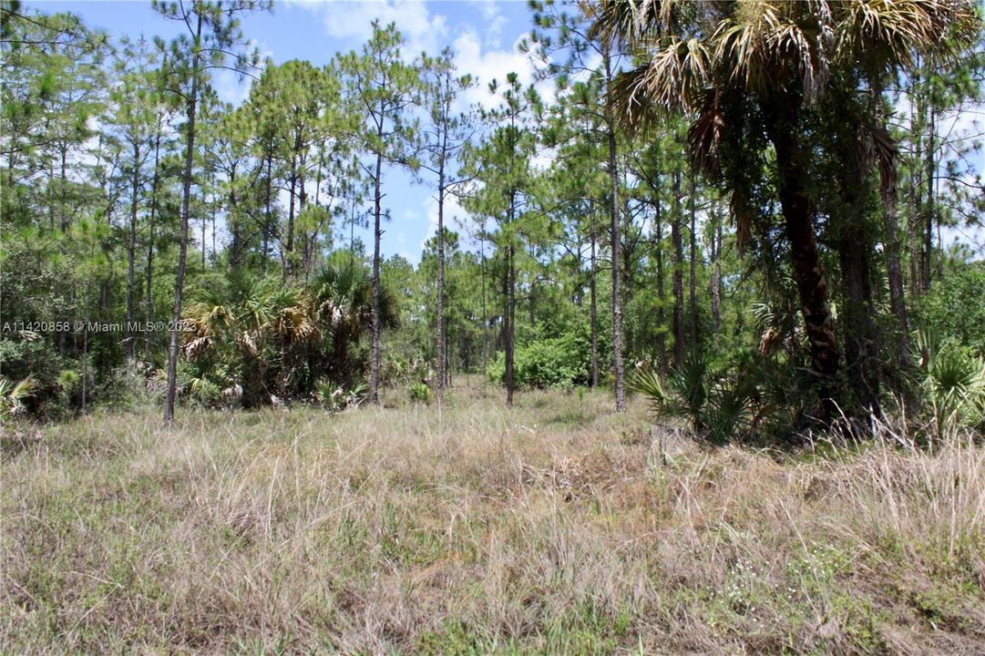 Recently Sold: $130,000 (2.73 acres)