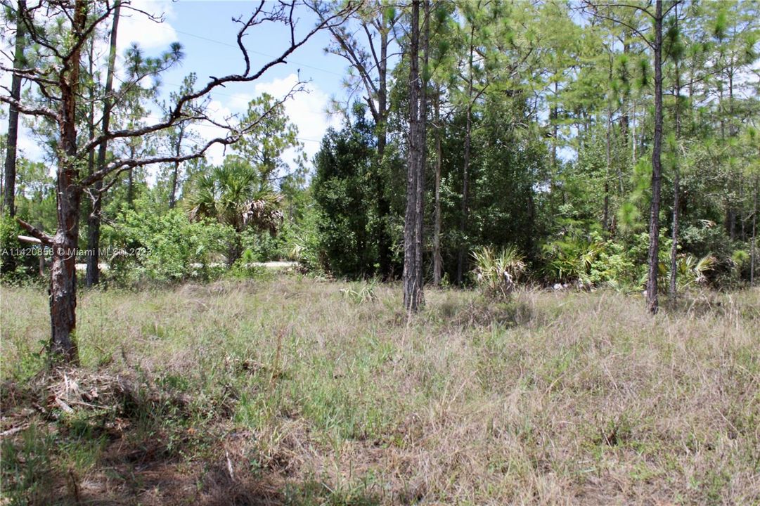 Recently Sold: $130,000 (2.73 acres)