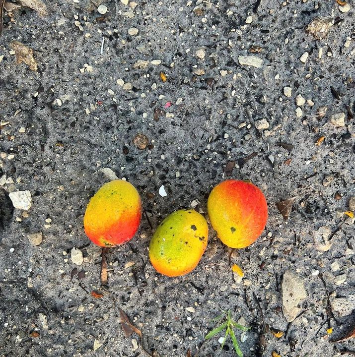 Recently Sold: $579,900 (4 beds, 3 baths, 0 Square Feet)