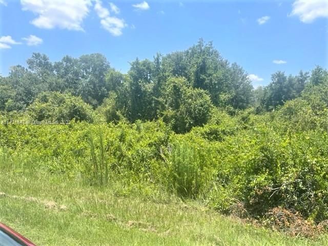 Recently Sold: $34,000 (1.77 acres)
