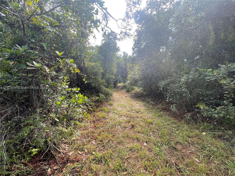 Vendido Recientemente: $160,000 (5.00 acres)