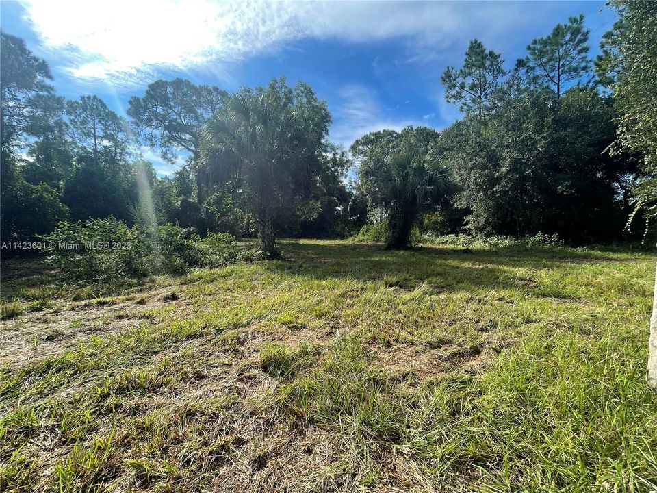 Vendido Recientemente: $160,000 (5.00 acres)