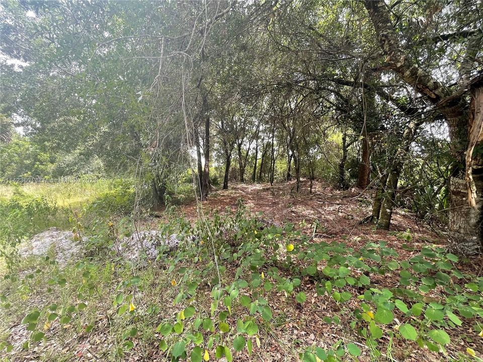 Vendido Recientemente: $160,000 (5.00 acres)