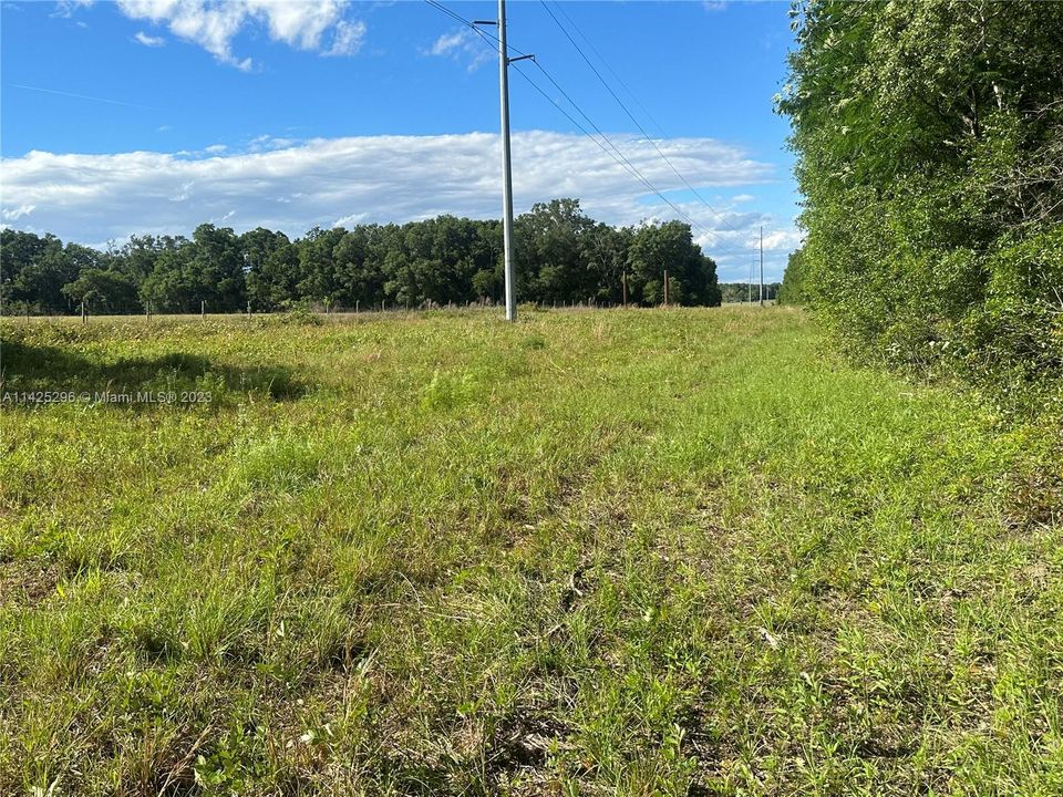 Rear section of the lot with easement for utilities company