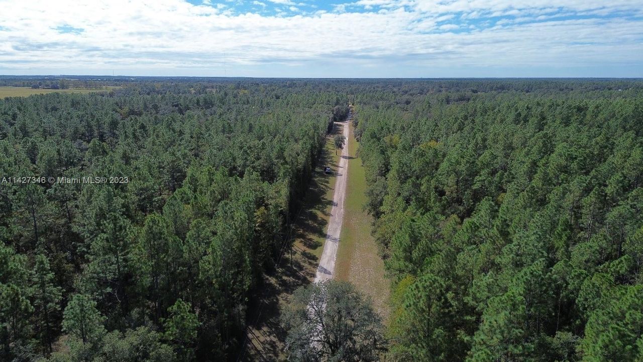 For Sale: $450,000 (20.01 acres)