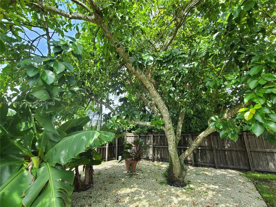 Recently Rented: $4,500 (4 beds, 3 baths, 2333 Square Feet)