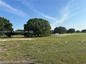 For Sale: $27,900 (0.38 acres)