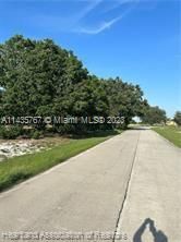 For Sale: $27,900 (0.38 acres)