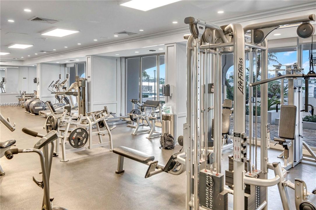 Updated and expanded gym