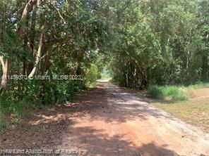 En Venta: $15,900 (0.18 acres)