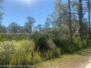 Recently Sold: $29,500 (1.00 acres)