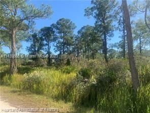 Recently Sold: $29,500 (1.00 acres)