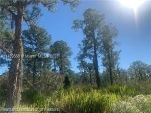 Recently Sold: $29,500 (1.00 acres)