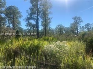 Recently Sold: $29,500 (1.00 acres)