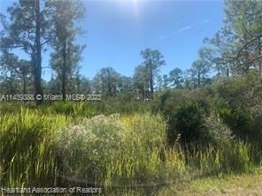 Recently Sold: $29,500 (1.00 acres)