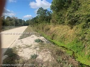 En Venta: $12,900 (0.23 acres)