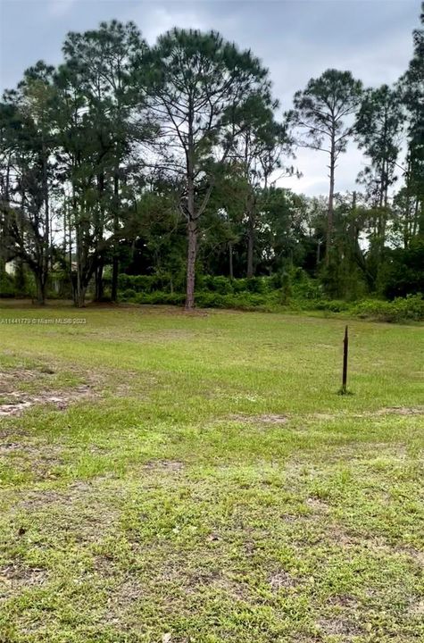 Recently Sold: $75,000 (1.09 acres)