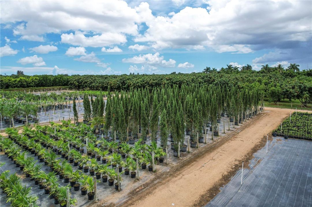 TREE RACKS ON SITE