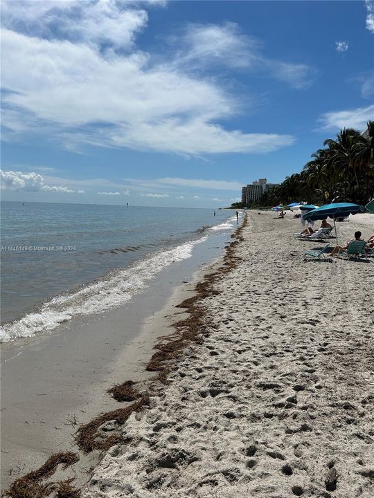 Recently Sold: $449,900 (1 beds, 1 baths, 690 Square Feet)