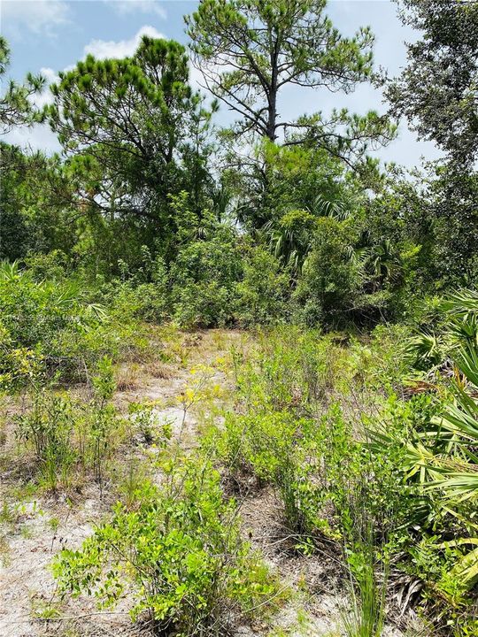 Recently Sold: $39,500 (0.22 acres)