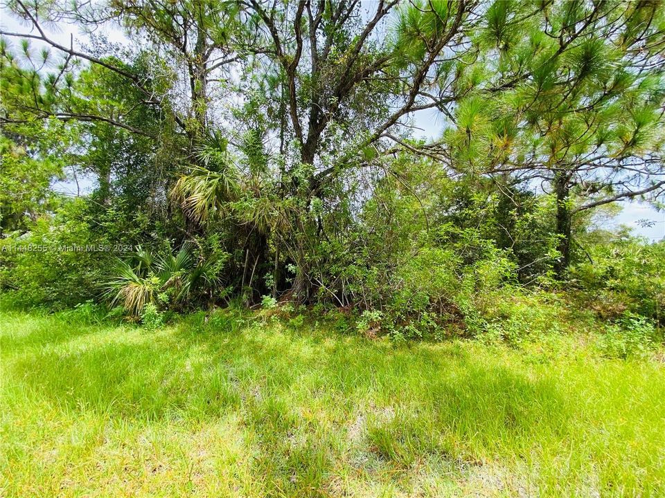 Active With Contract: $39,500 (0.22 acres)