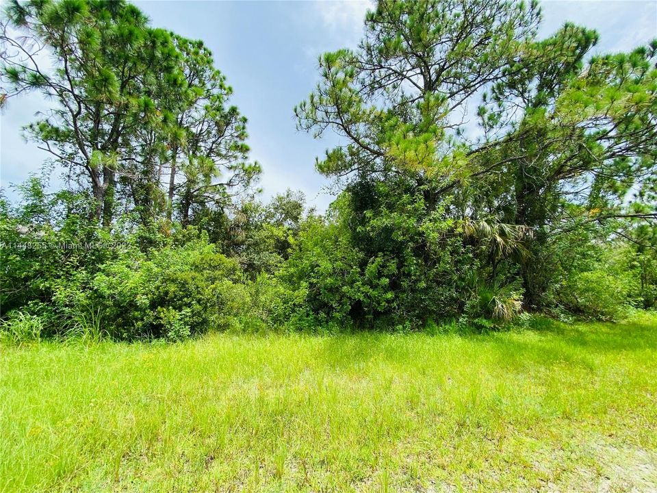Recently Sold: $39,500 (0.22 acres)